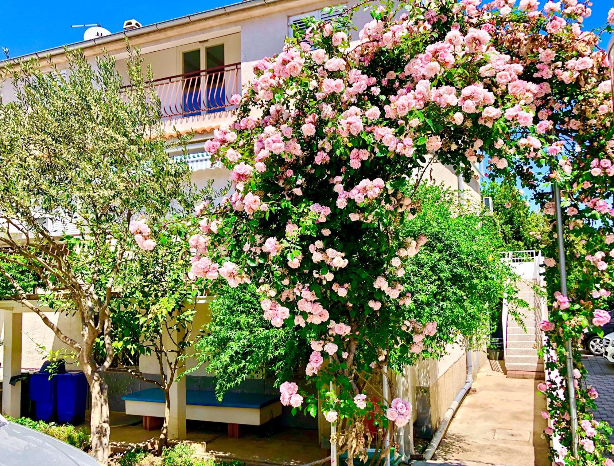 Apartments Cala Biograd Na Moru Chambre photo